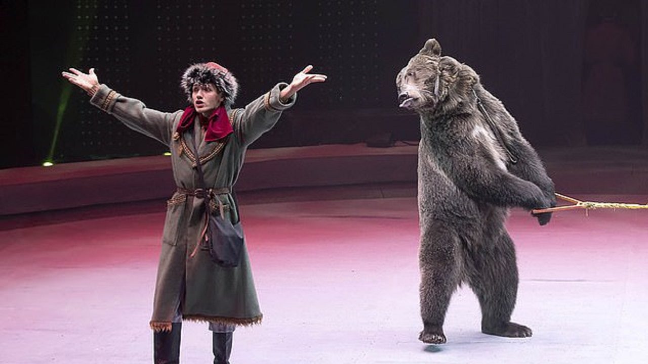 فیلم/حمله وحشتناک خرس به مربی سیرک