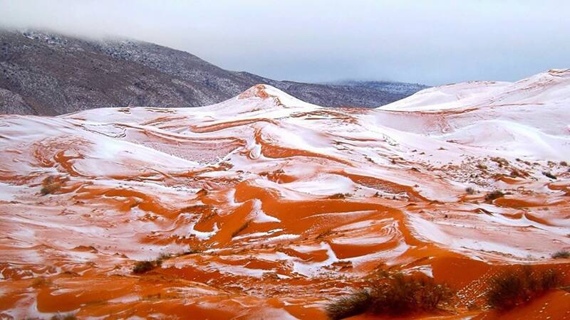 فیلم/بارش برف قهوه ای در عربستان!