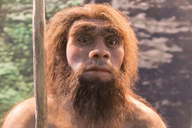 ژنهای نئاندرتال میتوانند متابولیسم دارو را کند کنند