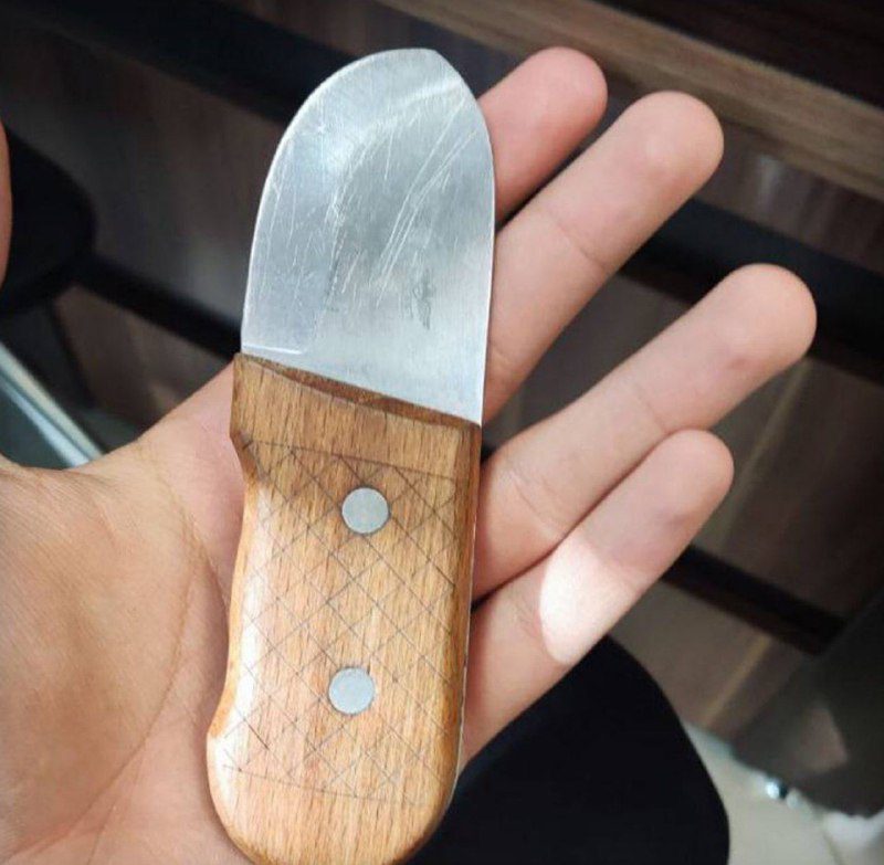 معترض دانشگاه شهید بهشتی از دانشجویان دانشگاه نبود