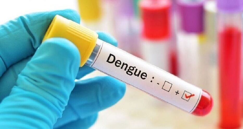 دانستنی‌هایی درباره تب دنگی