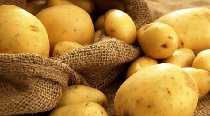 سیب‌زمینی رکورد جدیدی زد؛ گرانی چهار برابر دلار!