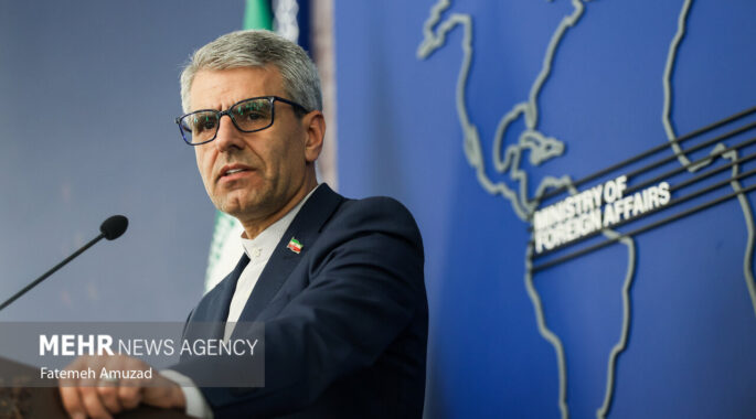 عکس/نشست خبری سخنگوی وزارت امور خارجه