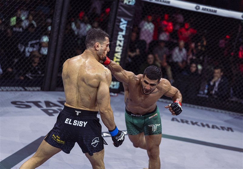 محسن محمدسیفی , ووشو , 