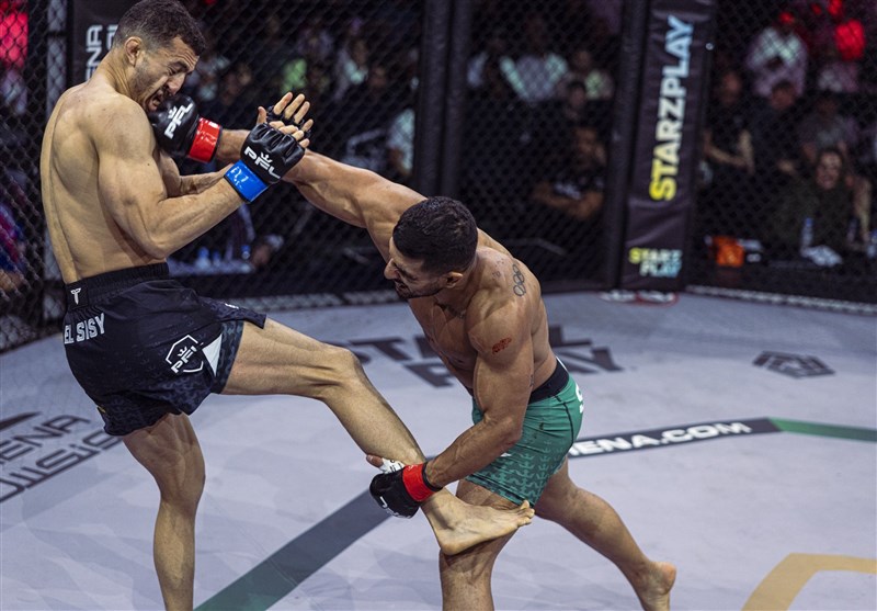 محسن محمدسیفی , ووشو , 