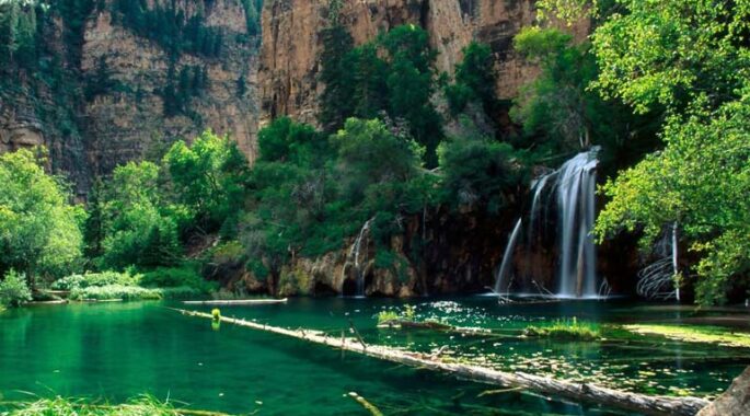 هر هکتار جنگل ۶۸ تن گردوغبار را جذب می‌کند