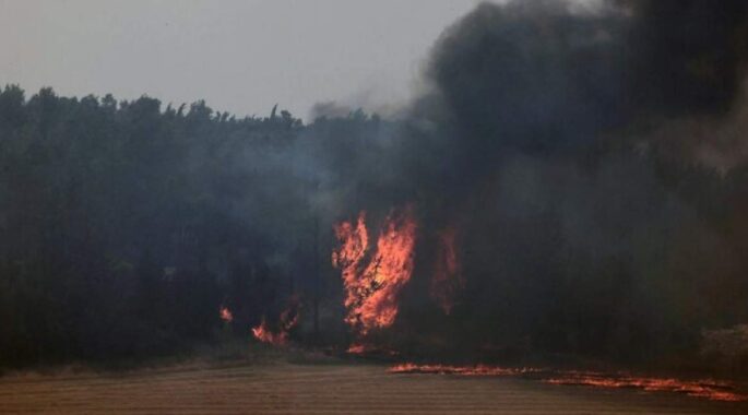 عامل آتش سوزی در اراضی اشغالی مشخص شد