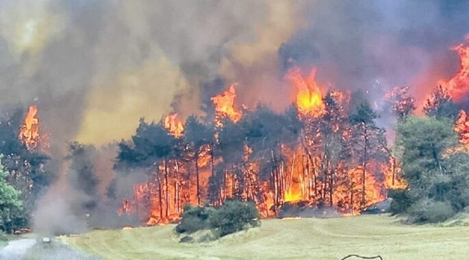 داستان ‌نمی‌دانم، اطلاعی ندارم را کسی می‌داند؟