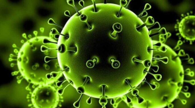 افزایش آرام کرونا در کشور