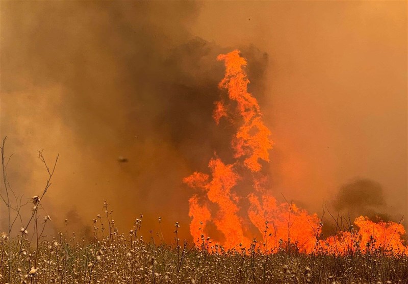 فلسطین اشغالی غرق در آتش سوزی‌های گسترده!