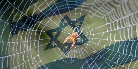 گزارش اطلاعاتی از عملیات در لانه عنکبوت