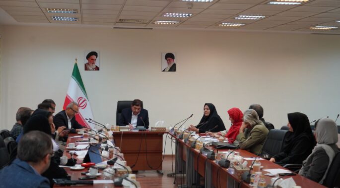 ضرورت ایجاد صندوق سرمایه‌گذاری خصوصی برای حمایت از فرش دستباف و صنایع دستی کشور