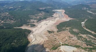 فیلم/ آماری وحشتناک از ترکیه!