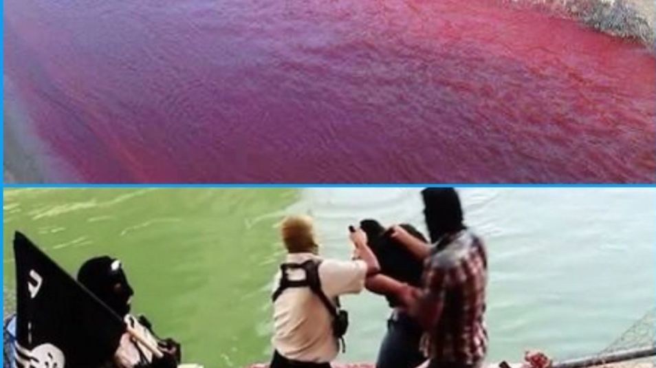 داعش , اغتشاشات 1404 , اغتشاشات ایران , 