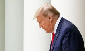 شورای صلح غزه چیست؟ جزئیات طرح جدید آمریکا برای پایان جنگ