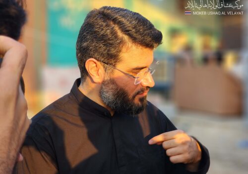 کنایه تند میثم مطیعی به پهلویها؛ «نوکری اجنبی، غریزه پهلوی!»